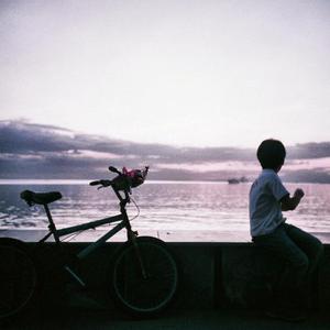 黄色大毒枭免费播
