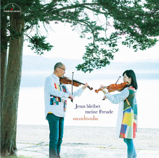 黄色大毒枭免费播
